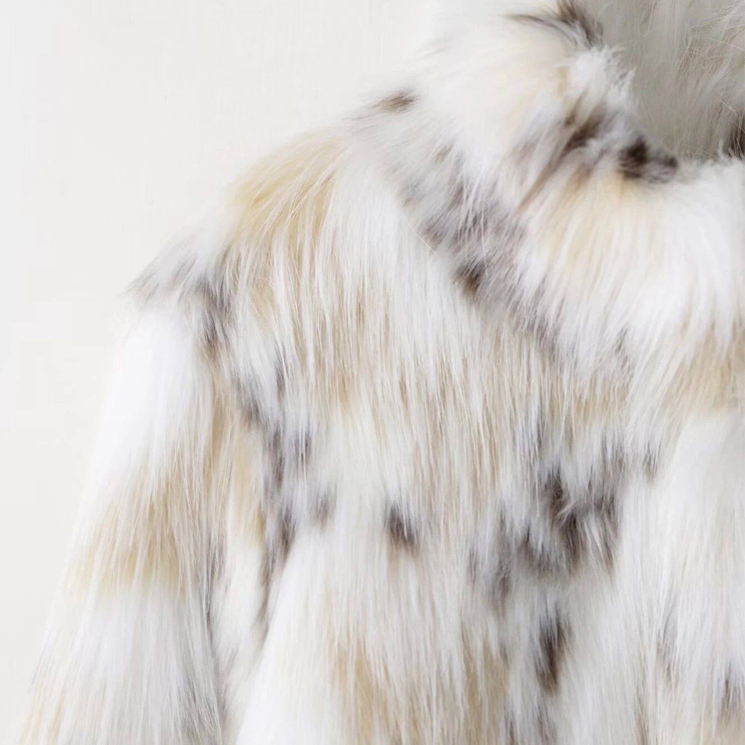 Close-up of a fluffy white and brown animal on a light background