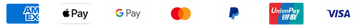 Logos of various payment methods including AMEX, Apple Pay, Google Pay, Mastercard, PayPal, UnionPay, and Visa.